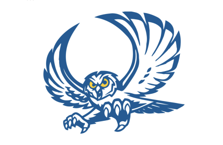Reagan County logo