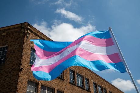 A trans flag is waved during San Antonio's third annual celebration of Transgender Day of Visibility on March 29, 2025. 