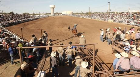 Cinch Roping Fiesta (LIVE! Photo/Manny Diaz)