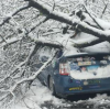 Ice Storm Damage (Courtesy/Barts Tree Service)