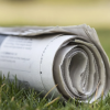 Newspaper