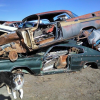 Junk Cars and Dogs Running Free Courtesy Forwardlook.net