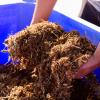 Industrial hemp farming in Texas could be coming to an end if lawmakers pass Senate Bill 3, which would ban all THC products.
