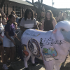 San Angelo’s newest fiberglass sheep was revealed to the public Tuesday evening at Santa Rita Elementary School.