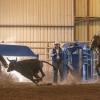 ASU Rodeo Team Practice