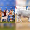 Wall neighbors Blaize Benson and Stratley Strube each claimed champion titles at the 2025 State Fair of Texas livestock shows — Benson with a steer and Strube with a lamb.