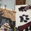 The owner of the dog killed in this week’s neighborhood animal attack shared images of the burial site and the pet’s collar.