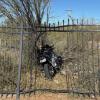 Novice Motorcyclist Crashes Through Sturdy Steel Fence on Dec. 12, 2025.