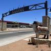 San Angelo Sheep gateway