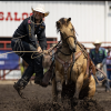 San Angelo's Ty Harris competes at the Ponoka Stampede during the 2026 rodeo season.