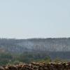 Scorched trees show the devastation from the Ross Fire in North Texas on Aug. 27, 2026. The fire has been declared 100% contained.