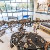 ASU Mayer Museum