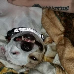 Profile picture for user US AF Wife