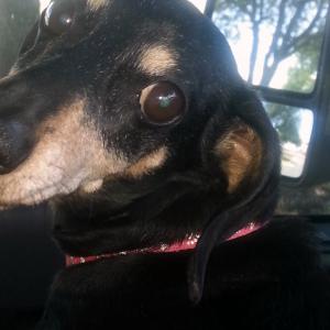 Profile picture for user markmoor