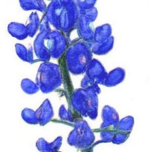 Profile picture for user cadred