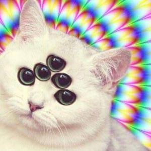 Profile picture for user Masaru